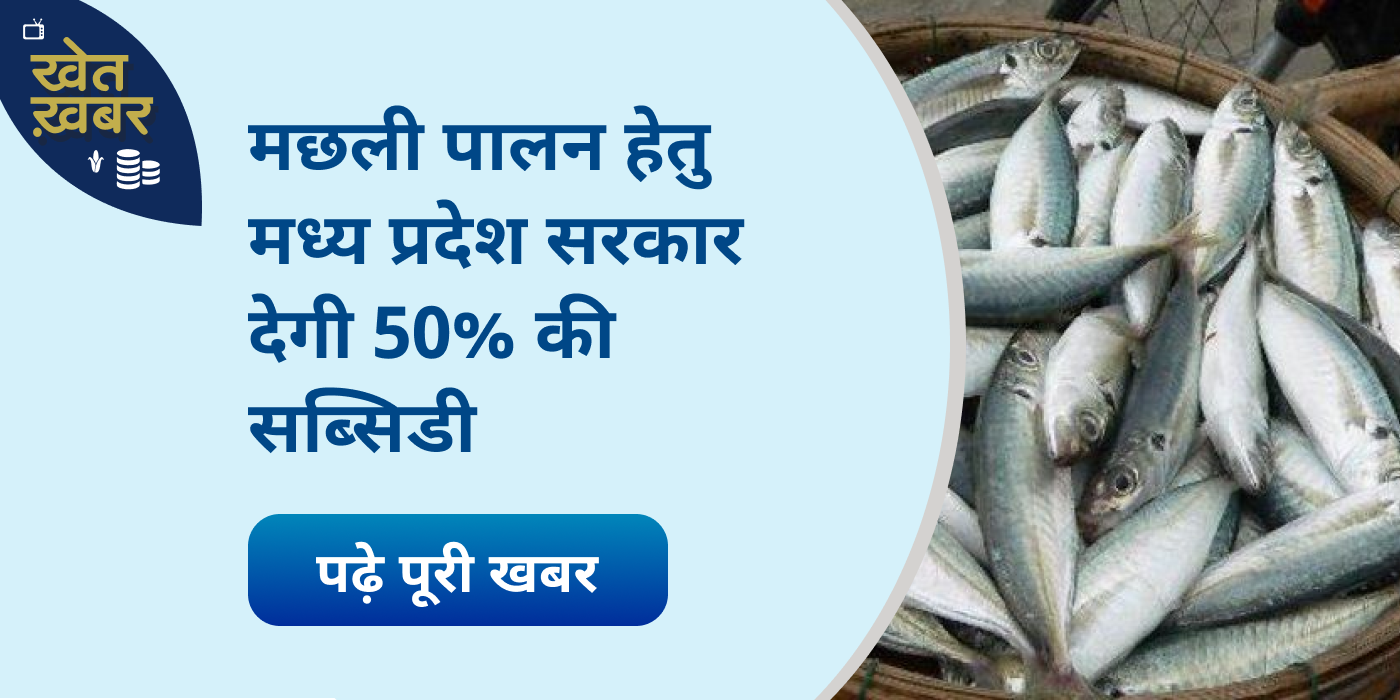 Do Fish farming and earn millions on government subsidy