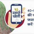 40 - 50 days crop management in onion crop