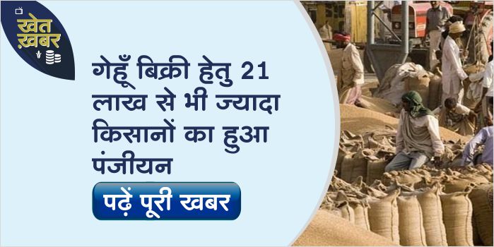 More than 21 lakh farmers of MP got registration done for sale of wheat on MSP