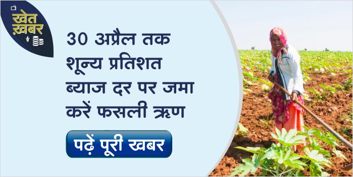 If you deposit the crop loan by 30 April, then no interest will have to be repaid