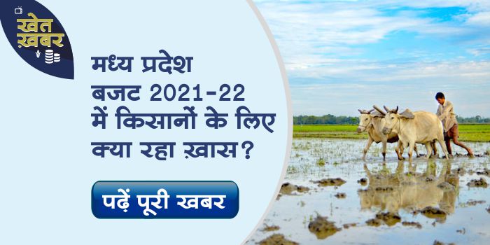 Madhya Pradesh budget 2021-22