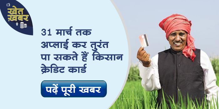 Now get Kisan Credit Card immediately