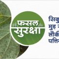 How to control aphid in bottle gourd crop