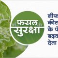 Control of leaf miner in Bitter gourd