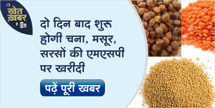 On MSP the purchase of gram, lentil and mustard will start from March 27