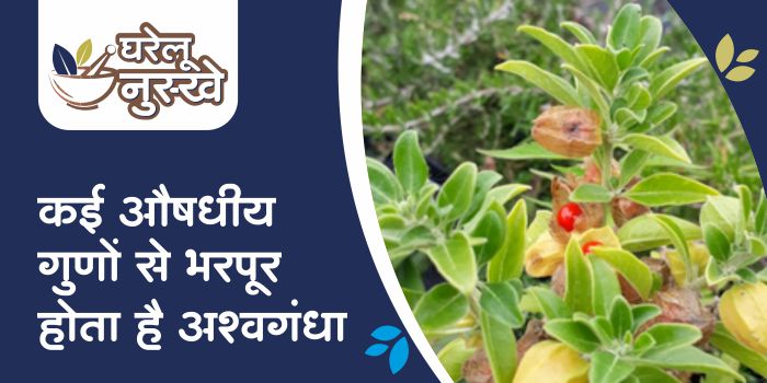 Ashwagandha gives many health benefits