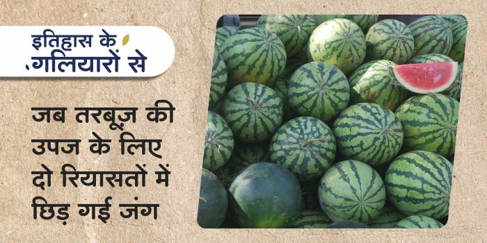 When the war broke out in two princely states of Rajasthan for the production of watermelon