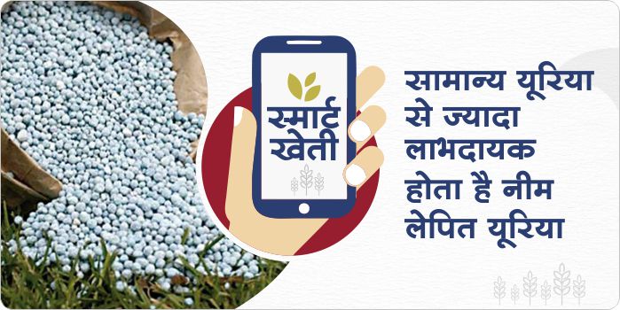 Crops will get many benefits from the use of Neem Coated Urea