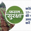 Crop management in 10–15 days of sowing in bitter gourd crop