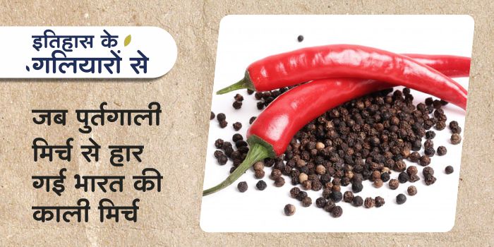 Chilli came from Portugal ended black pepper monopoly in India