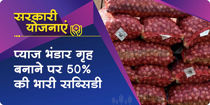 Government to give 50% subsidy for building onion stores