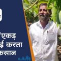 This farmer gets 200% more mango production than other farmers