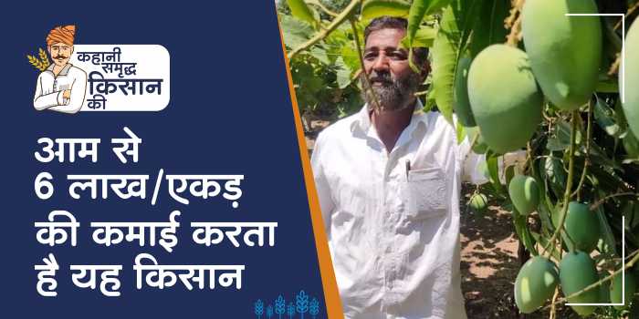 This farmer gets 200% more mango production than other farmers