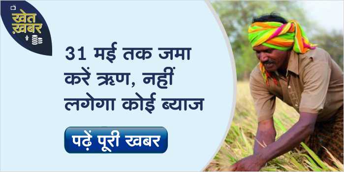 No interest will be paid on depositing the crop loan till this date