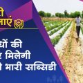 Government is giving 75% subsidy on cultivation of herbal plants