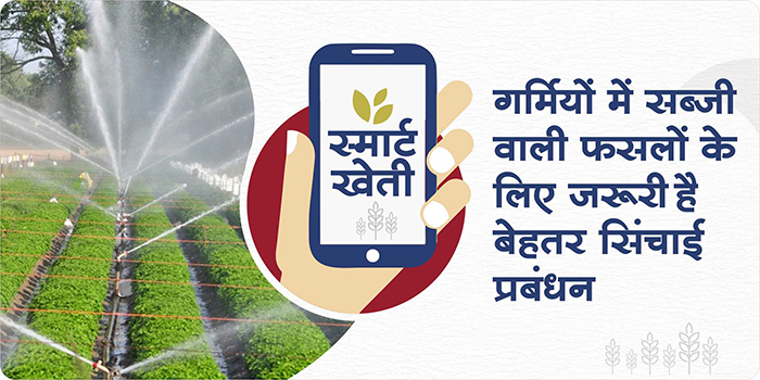 How to make water available in vegetable crops during water shortage in the summer season