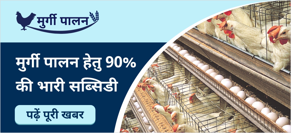 Do Poultry Farming at a huge subsidy of 90%