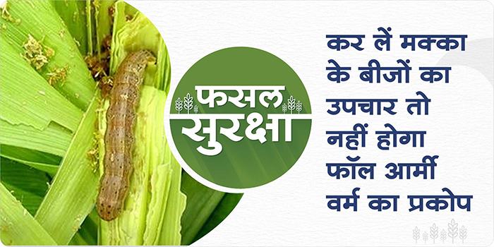 How To Control Fall ArmyWorm In Maize By Seed Treatment