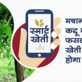 Benefits of cultivating by making machan in cucurbitaceous crops