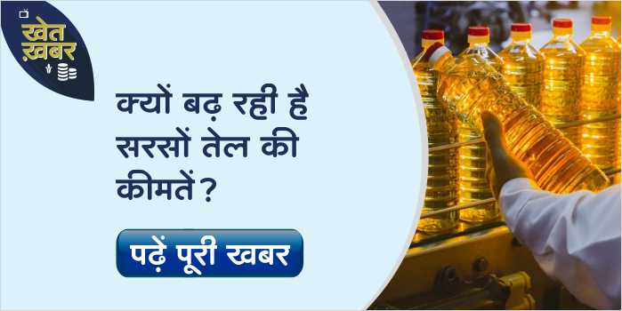 huge hike in the prices of mustard oil