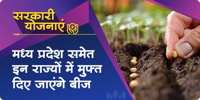 Government will give free seeds to the farmers of these 7 states