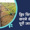 Know the complete method of installing drip irrigation system and its benefits