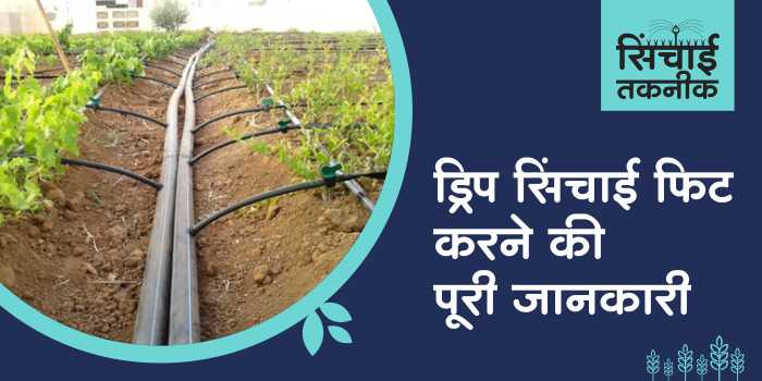 Know the complete method of installing drip irrigation system and its benefits