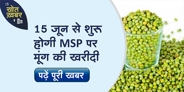 Green Gram will be purchased at MSP in Madhya Pradesh from June 15