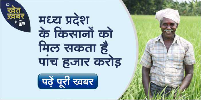 Madhya Pradesh farmers will get five thousand crores for crop damage done last year