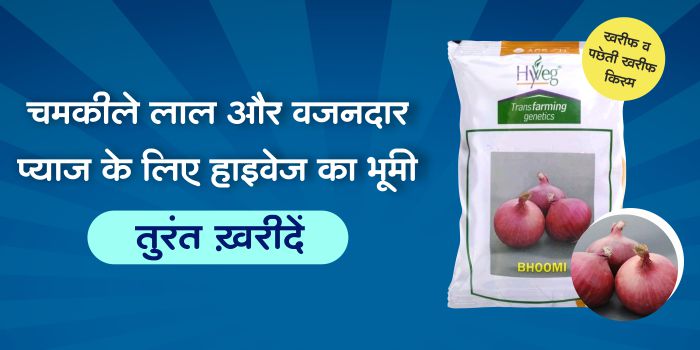 Bhoomi Onion Seeds of Hyveg