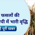 Minimum Support Price for Kharif crops increased by 62%