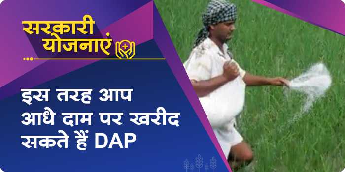 You can buy DAP fertilizer worth Rs 2400 in just Rs 1200