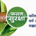 Management of fall army worm in Maize Crop,