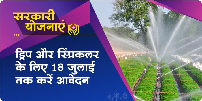 Farmers of Madhya Pradesh can apply for drip and sprinkler till 18th July