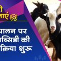 90% subsidy will be given on goat farming