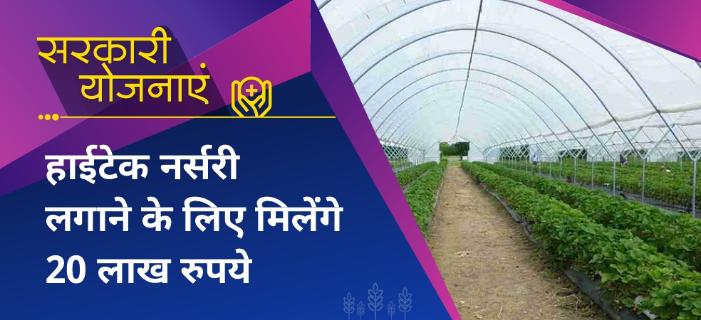 Establish hi-tech nursery, the government will give 20 lakh rupees