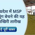 Farmers will be able to sell moong at MSP till this date in Madhya Pradesh