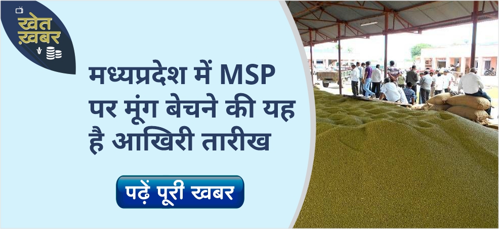 Farmers will be able to sell moong at MSP till this date in Madhya Pradesh