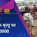 Grant of up to 30 thousand rupees on the death of animals