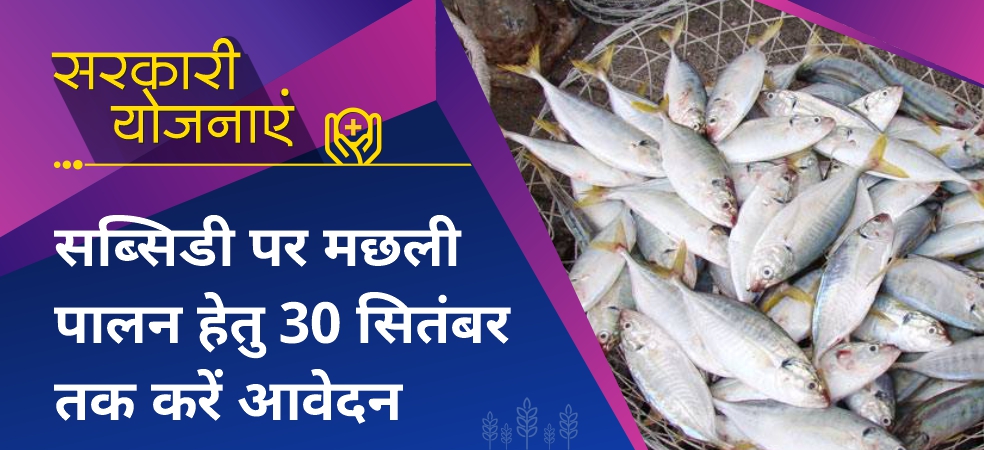 Farmers of Madhya Pradesh should apply soon for fish farming on subsidy