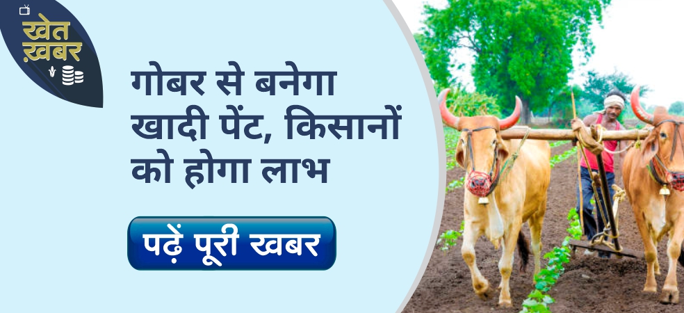 Now earn from cow dung, the government will make Khadi paint from cow dung