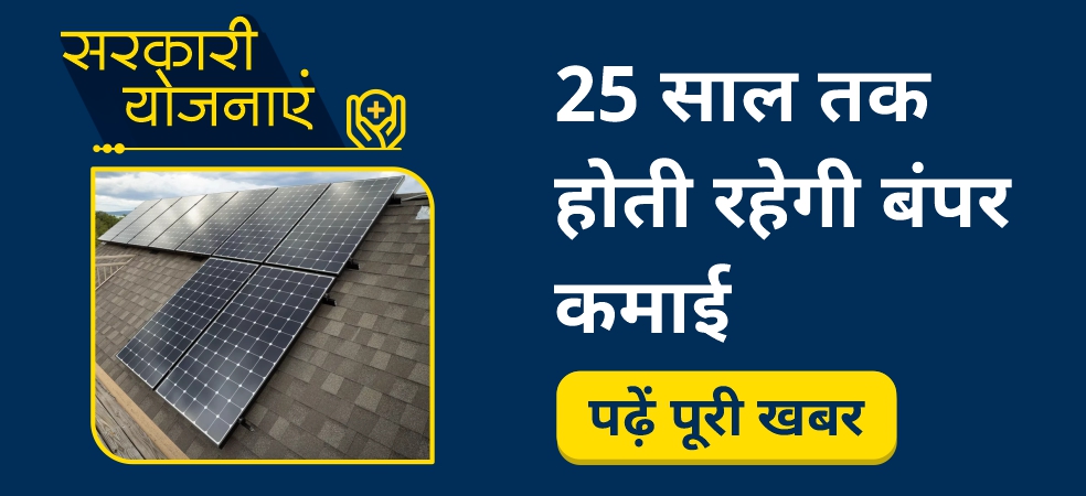 Earn profit by selling solar panels and electricity on subsidy