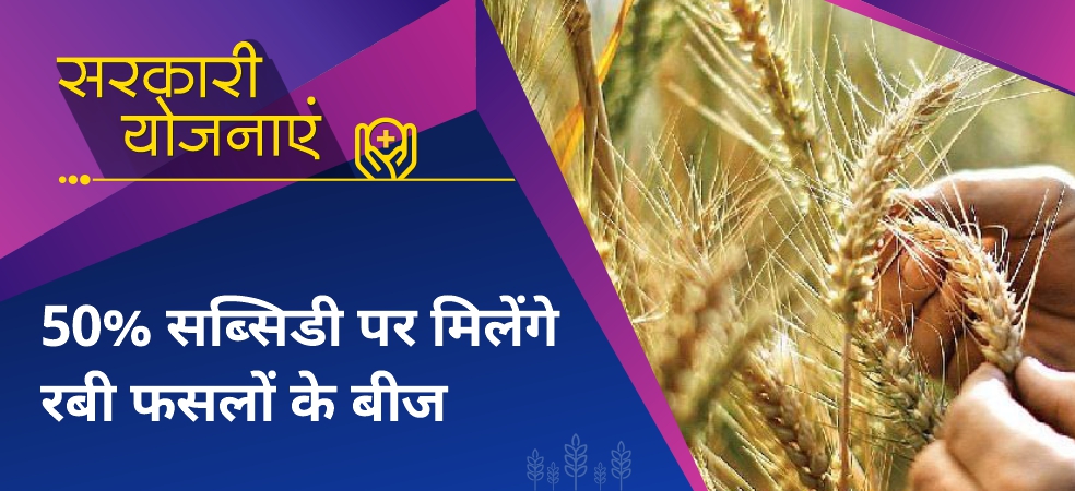 Farmers should apply for getting seeds of Rabi crops at 50% subsidy