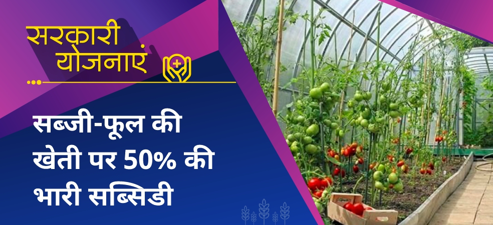 Cultivate vegetables and flowers, the government will give a huge subsidy of 50%