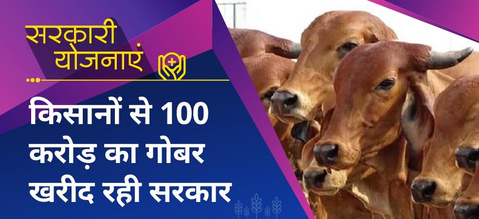 The government is helping farmers by buying cow dung worth 100 crores