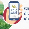 How to do nutrition management in onion nursery of rabi season