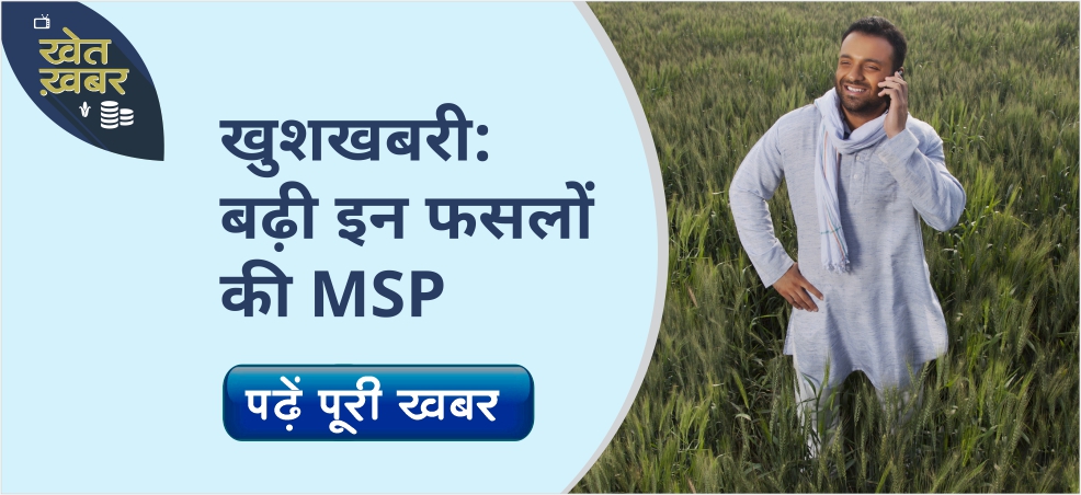 Government increased the MSP of these crops