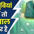 Know 5 characteristics that make Tarpaulin unmatched