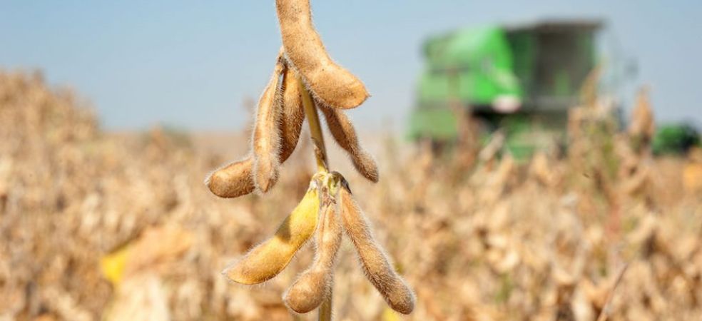 Use of Decomposers after soybean harvesting