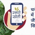 Recommendations for organic farming in gram crop